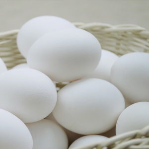 Oeufs blancs de poules en liberté