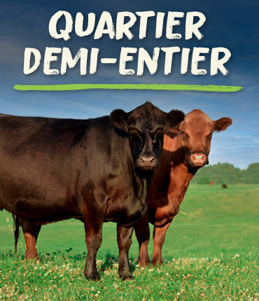 Économisez encore plus sur notre viande de la ferme en achetant un quartier devant, derrière, la demi ou en entier.