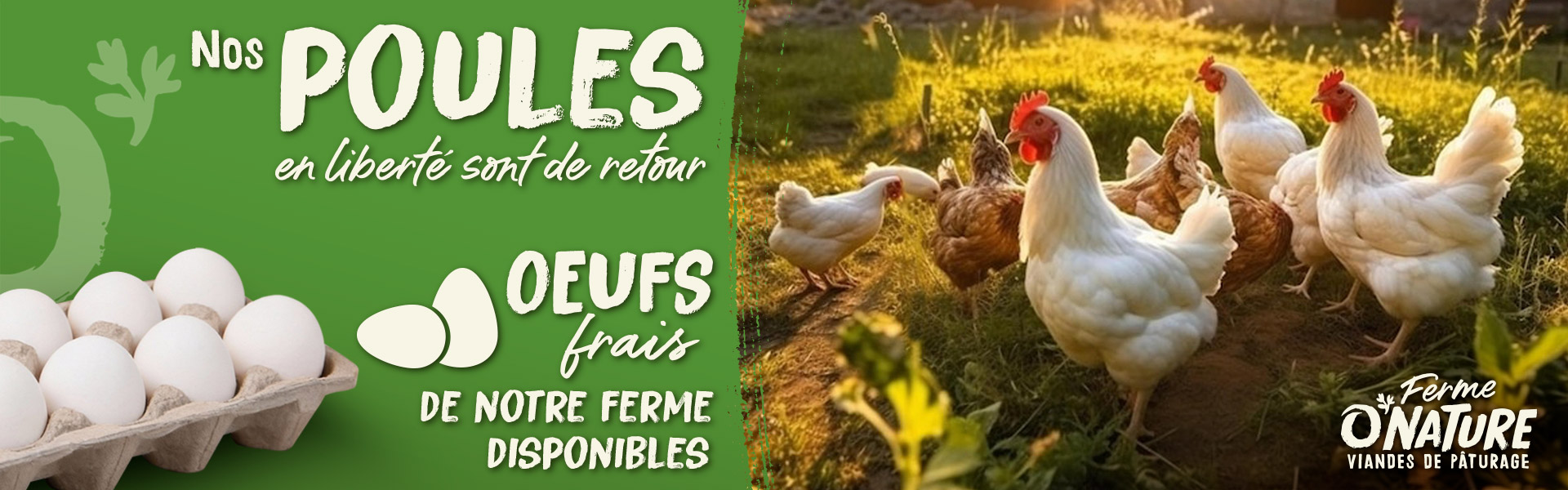 Oeufs frais de poules en liberté directement de notre ferme