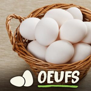 Oeufs blancs de poules en liberté nourries au grains